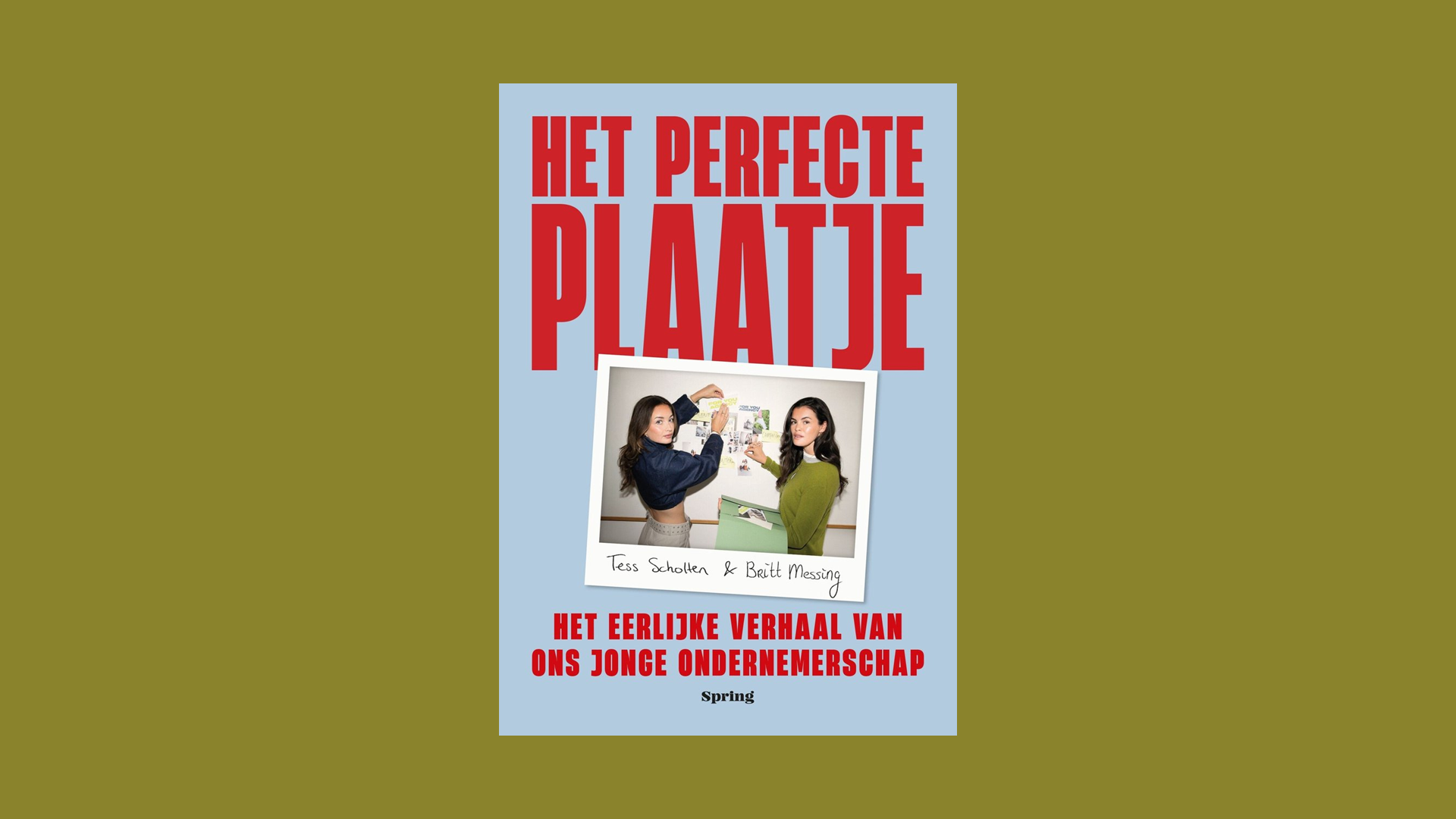 boek het perfecte plaatje britt en tess