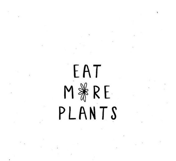 tekst eat more plants