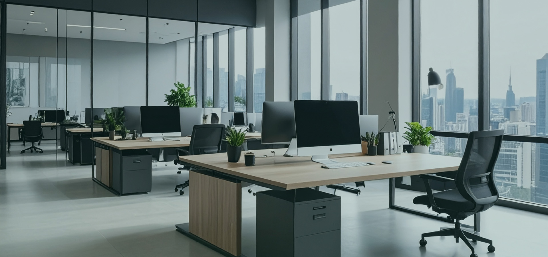 Header Raymond De Looze