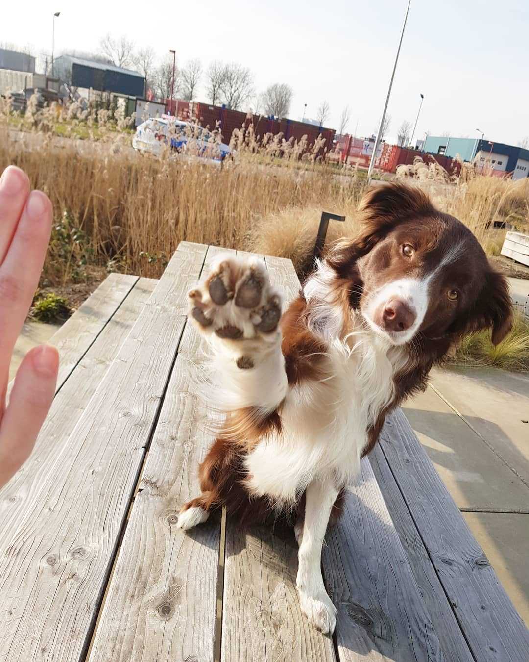 51166429 411835902727618 3802695959884312977 N 1