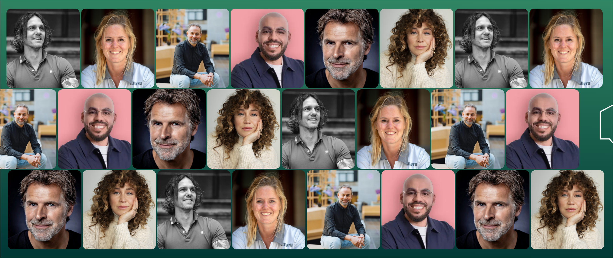 Web Nieuwe Huygenoten – Kop Header