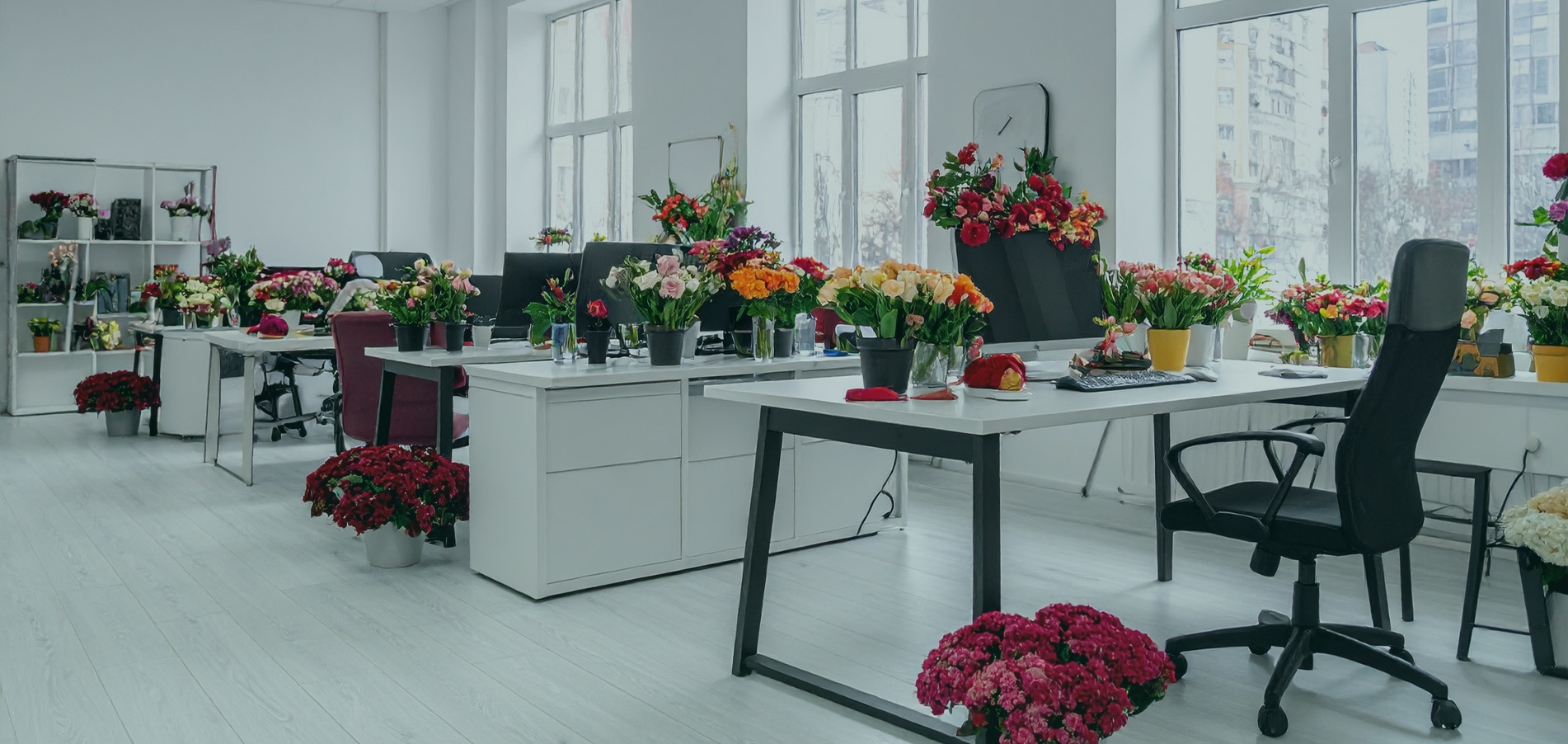 Themapagina werkgeluk